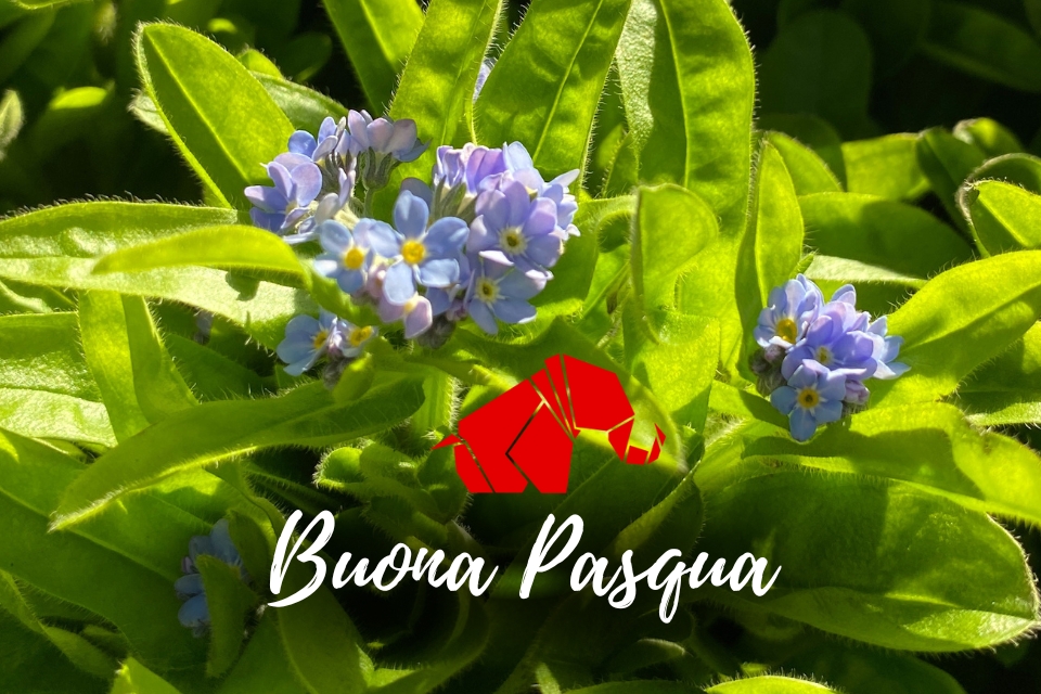 Buona Pasqua 2023 da AIMA Reggio Emilia ODV