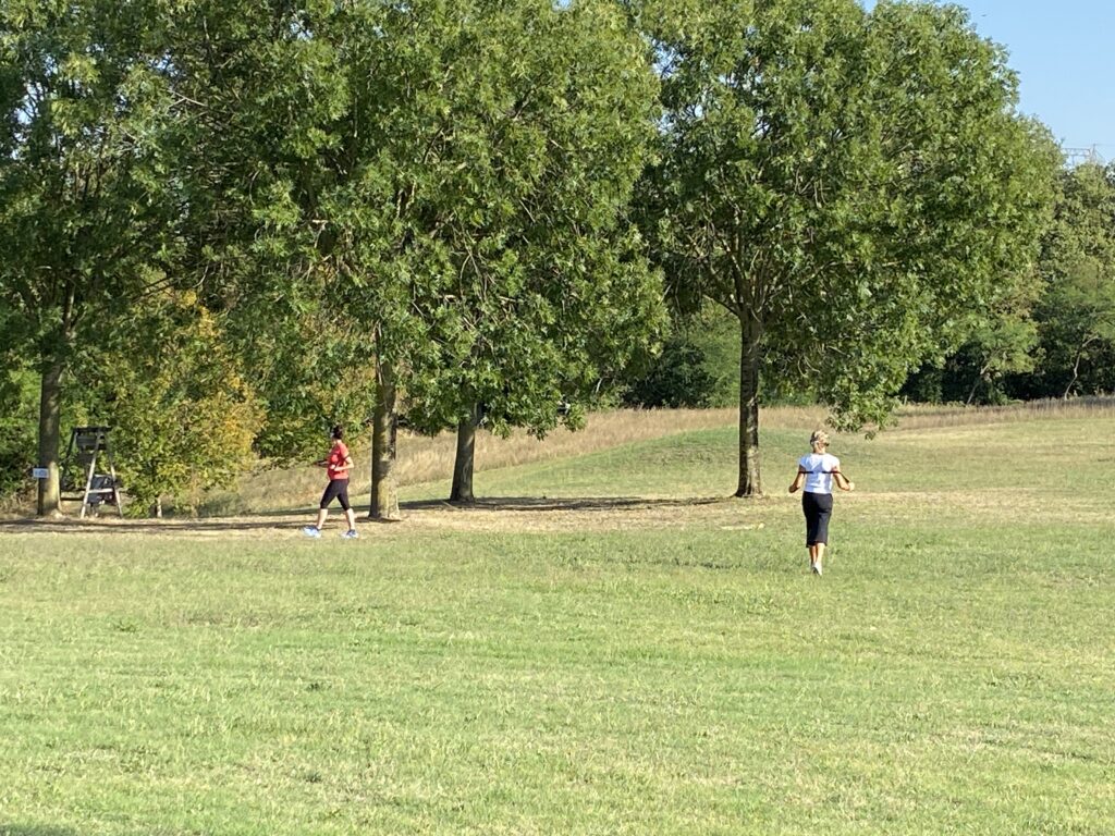 Foto della Camminata Metabolica per AIMA Reggio Emilia 2023